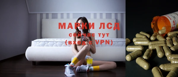 стаф Беломорск