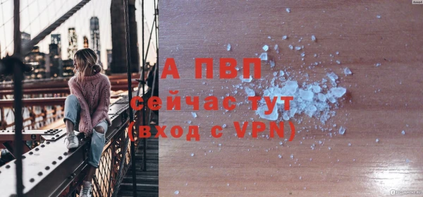 стаф Беломорск