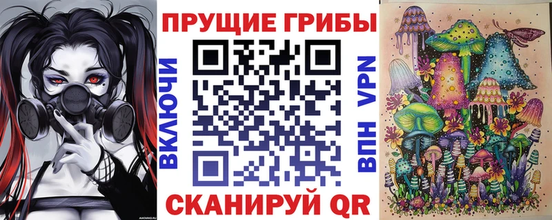 kraken как зайти  Нестеровская  Псилоцибиновые грибы Magic Shrooms 